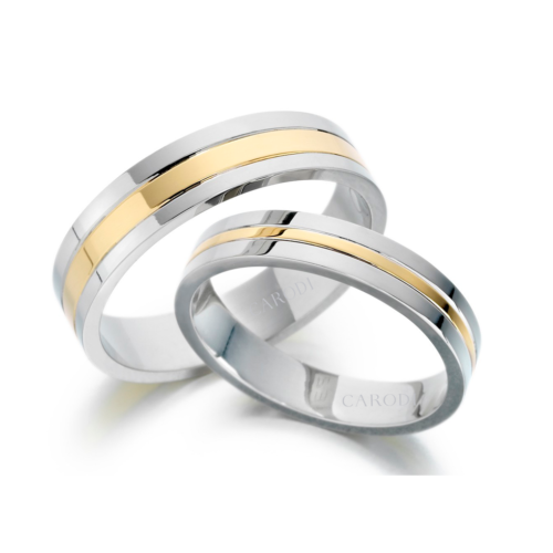 Aros de matrimonio Oro y Plata- Horizonte de la historia